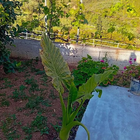 Apartment Village Relax *