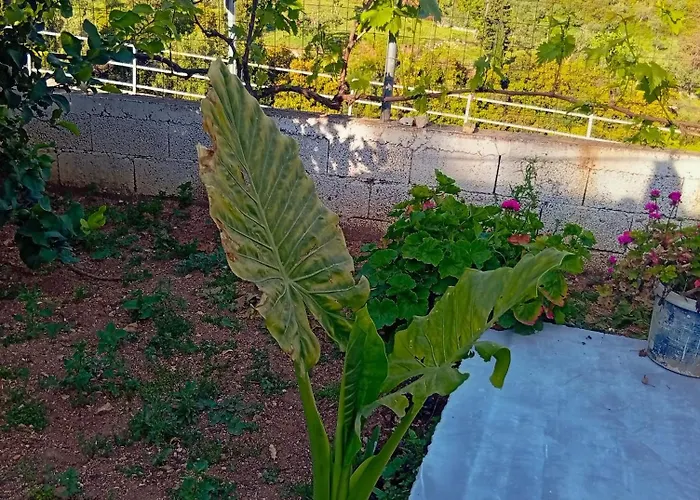 Apartment Village Relax *