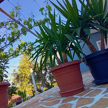 Apartment Village Relax Himare