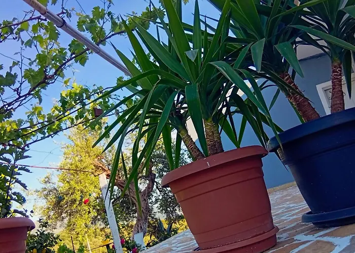 Daire Village Relax Himarë